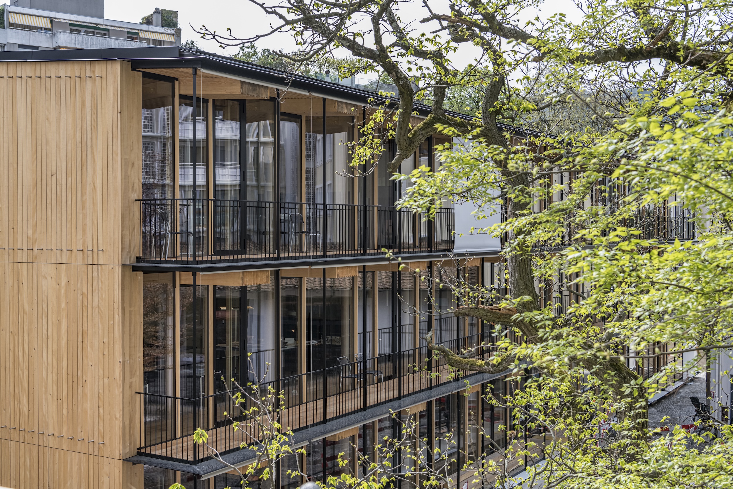Holzbau & Zimmerei